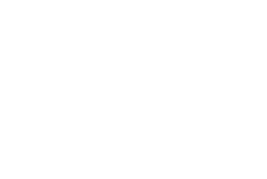 aspex-logo-blanc